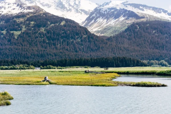 alaska.share-206-scaled